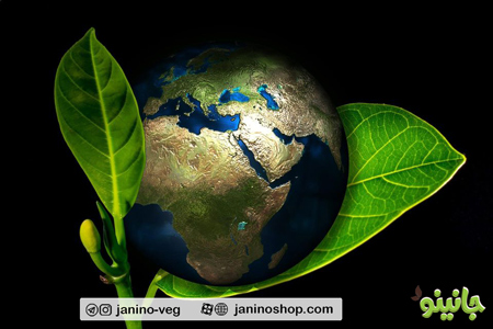 کره زمین در میان دو برگ سبز و جوان و تازه به نشانه وگانیسم و گیاهخواری که کره زمین را نگهداشته اند بر روی زمینه سیاه رنگ
